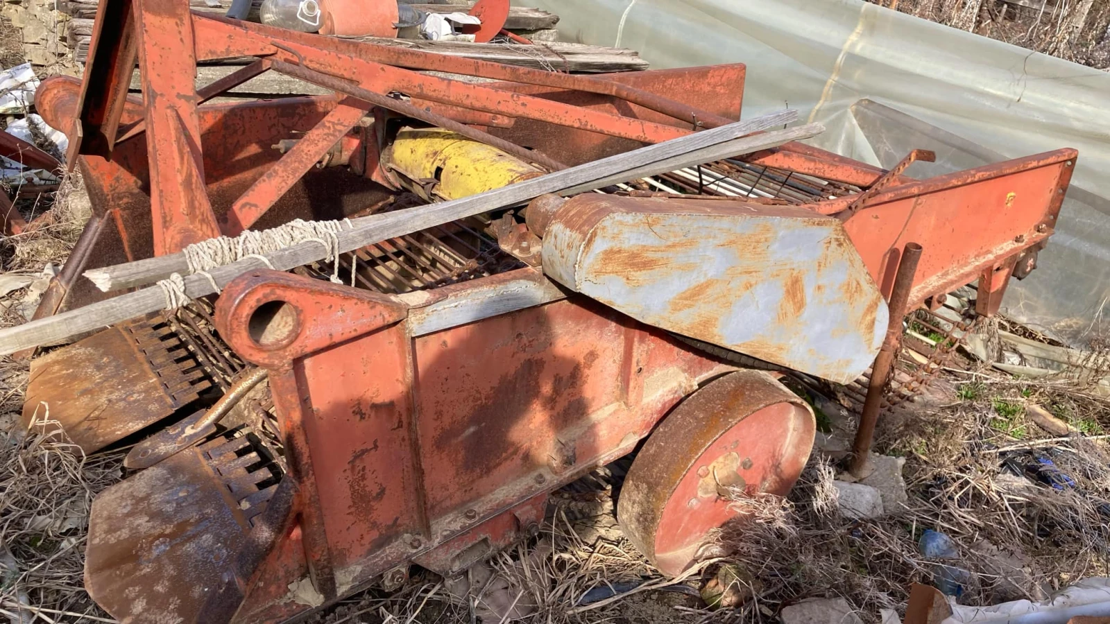 Друг вид Внос Картофовадачка - изображение 2