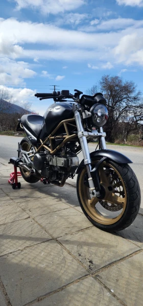 Ducati Monster 