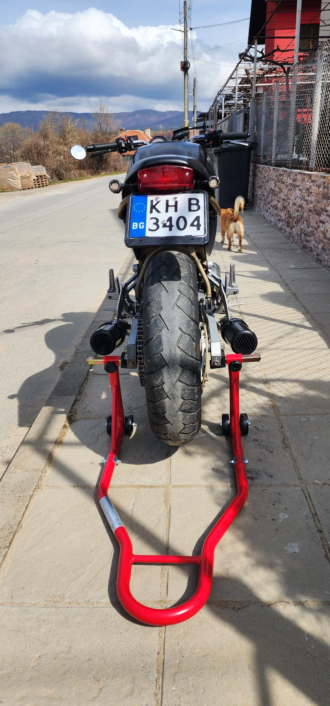 Ducati Monster, снимка 7 - Мотоциклети и мототехника - 53940405