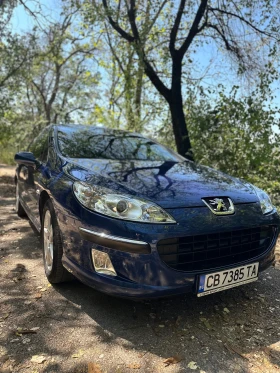 Peugeot 407 2.0i 16v 136hp 100 000 км сервизна книжка , снимка 3