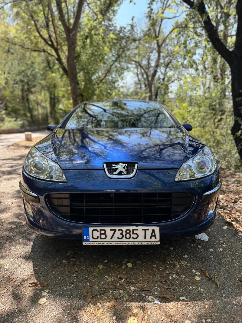 Peugeot 407 2.0i 16v 136hp 100 000 км сервизна книжка , снимка 2 - Автомобили и джипове - 47018872