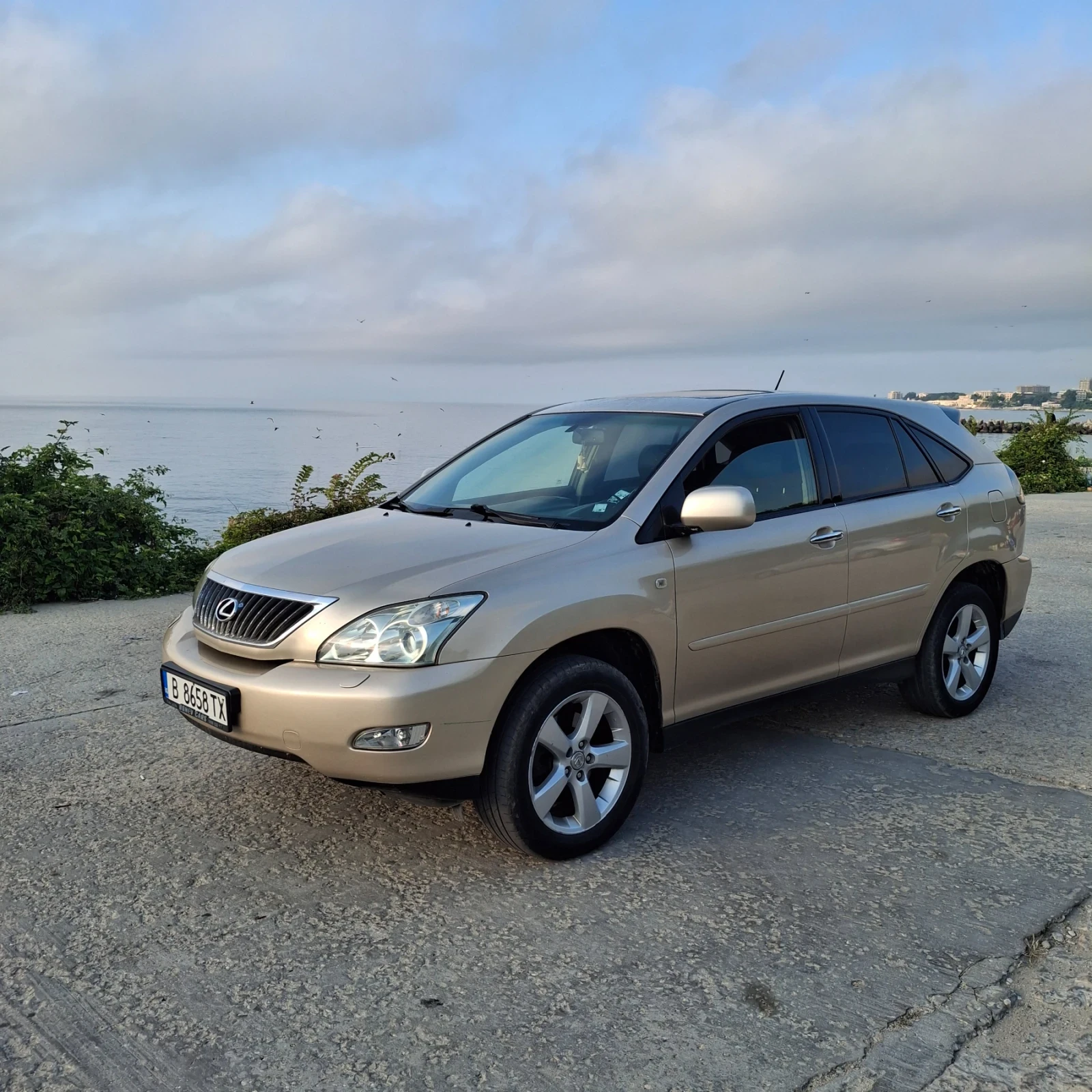 Lexus RX 350, снимка 14 - Автомобили и джипове - 55332305