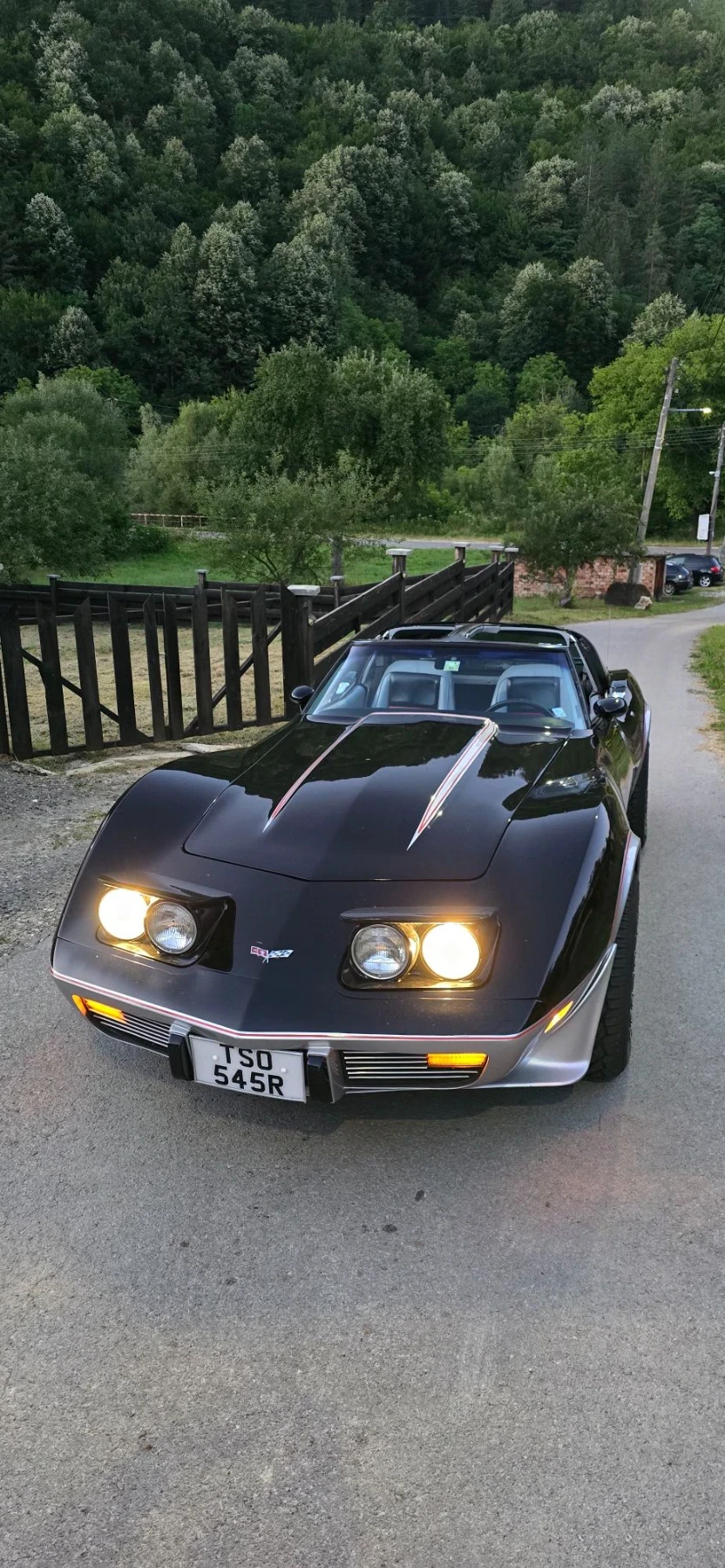 Chevrolet Corvette 5.7 V8 Перфектен , снимка 7 - Автомобили и джипове - 56035087