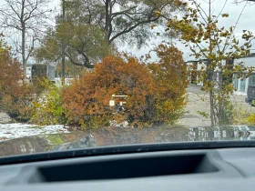 BMW X5 * xDrive40i * LASER* HEAD UP * ЦЕНА ДО БЪЛГАРИЯ* , снимка 17