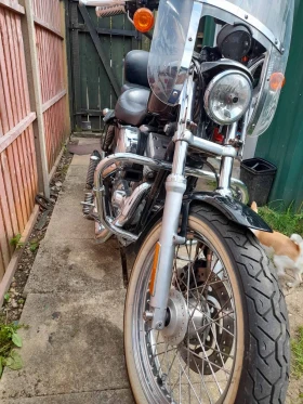 Harley-Davidson Sportster, снимка 5