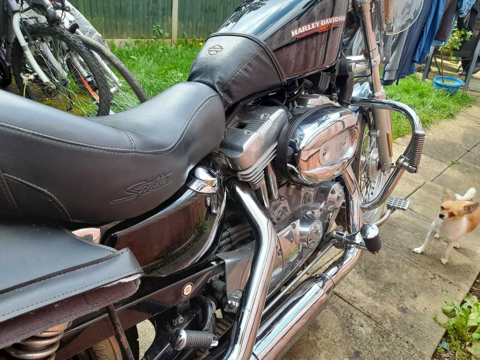 Harley-Davidson Sportster, снимка 6 - Мотоциклети и мототехника - 55834185