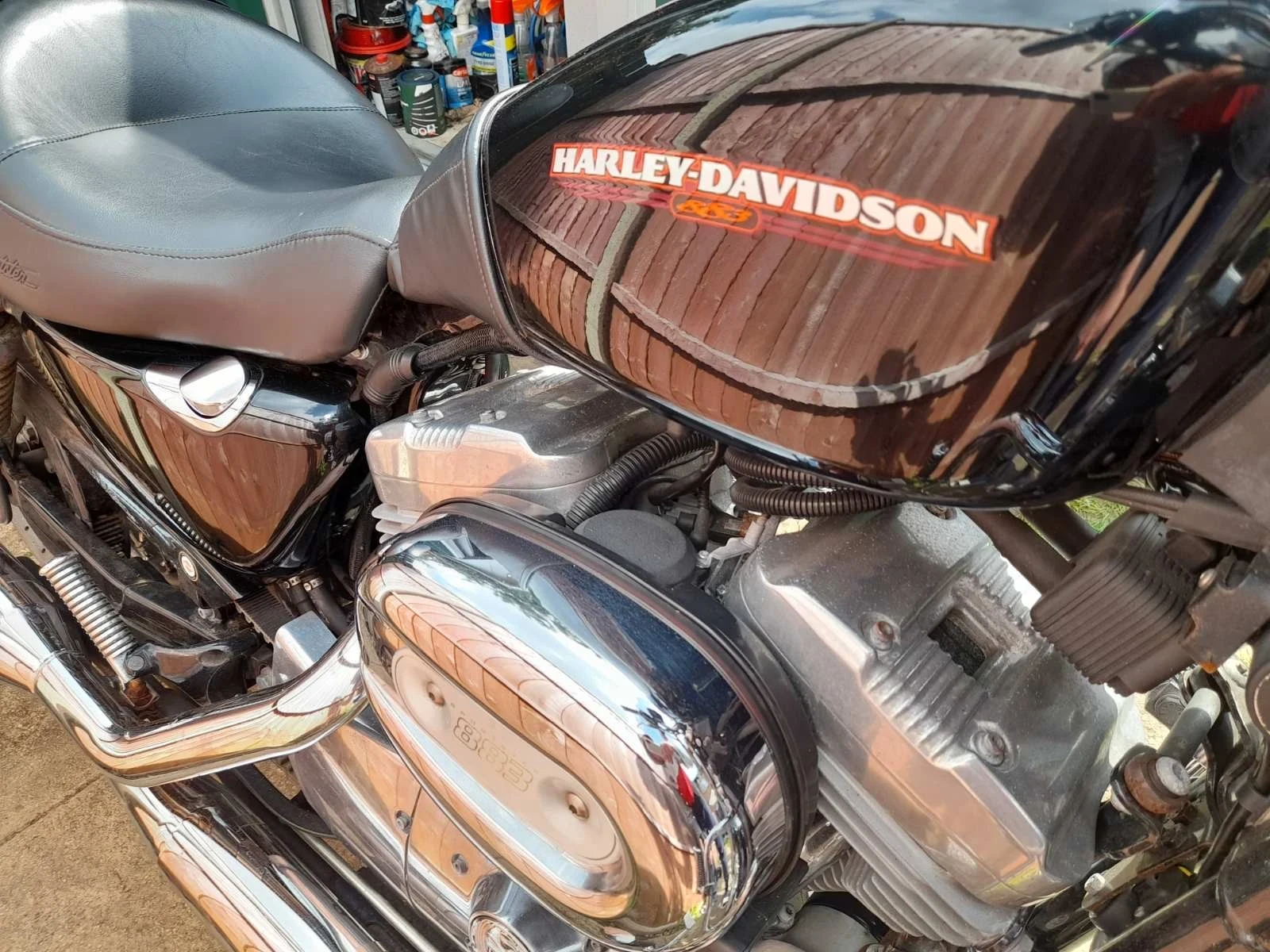 Harley-Davidson Sportster, снимка 2 - Мотоциклети и мототехника - 55834185