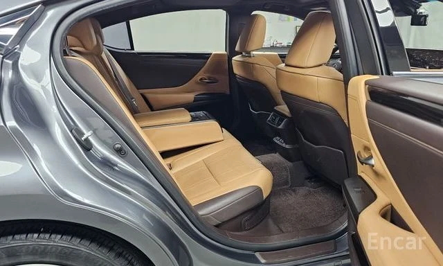 Lexus ES 300 h | ОБДУХВАНЕ | ШИБЕДАХ | ЗАДНА КАМЕРА | , снимка 11 - Автомобили и джипове - 54125175