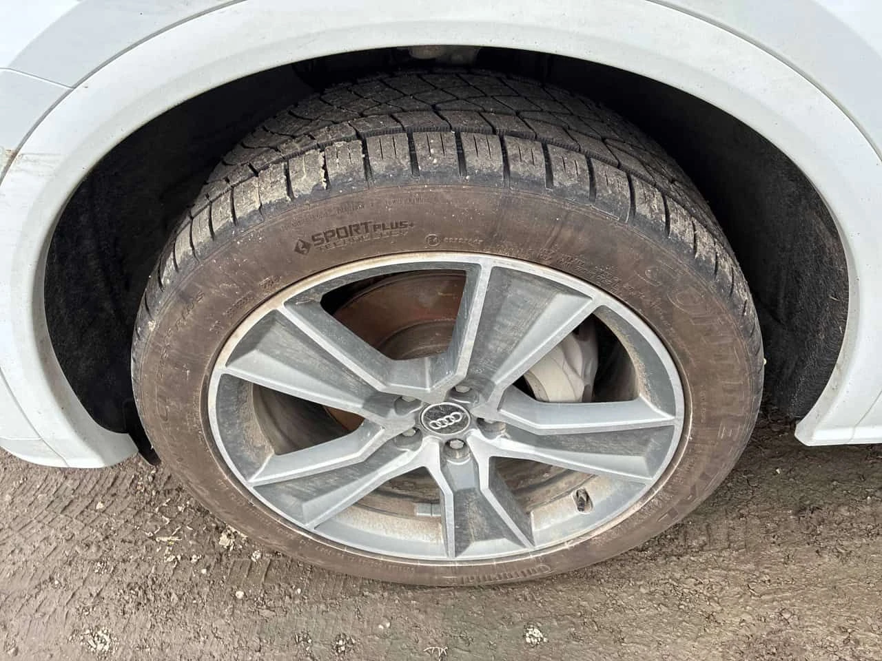 Audi Q5 TECHNIK| PANO| 360| ОБДУХВАНЕ| CARFAX, снимка 10 - Автомобили и джипове - 53982789