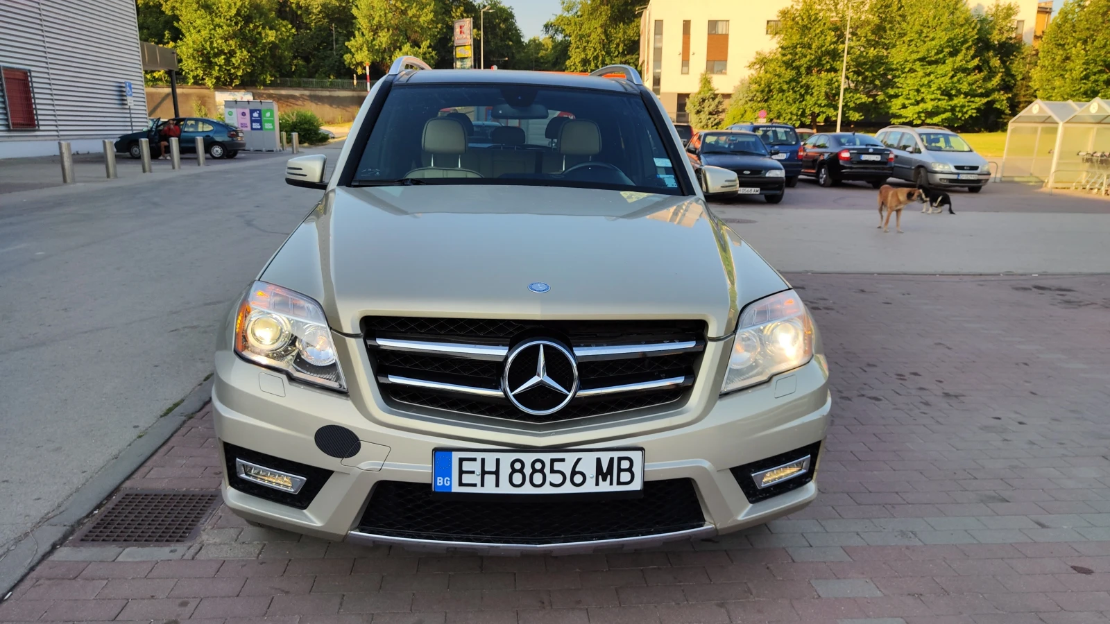 Mercedes-Benz GLK 350 4matic AMG LPG PANORAMA FULL - изображение 6