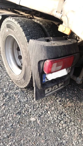 Daf XF 105 510 | Auto.bg — изображение 3