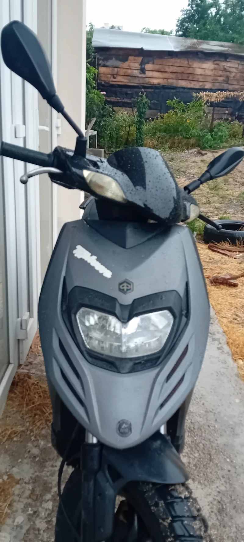 Piaggio Typhoon, снимка 3 - Мотоциклети и мототехника - 52645445