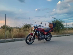 Kawasaki ER ER 5 | Mobile.bg    8