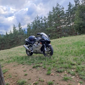  Honda Cbr