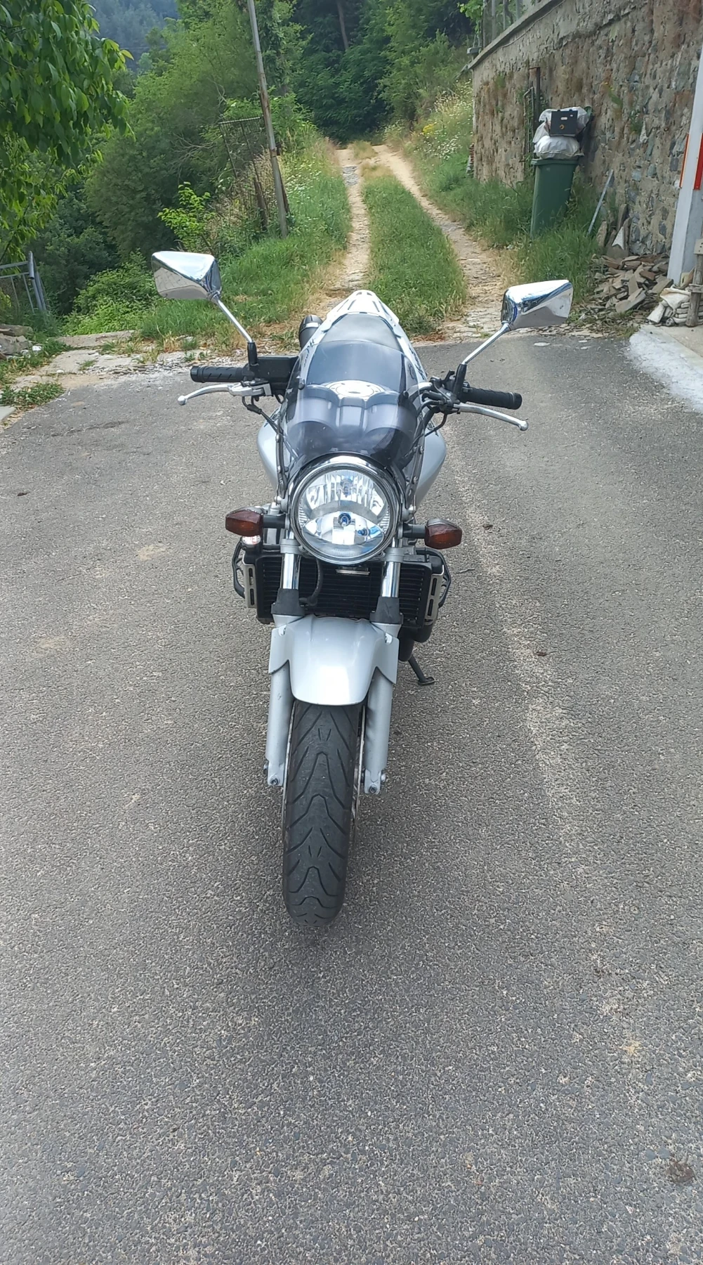 Honda Hornet  - изображение 2