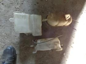 Охладителна система за Toyota Land cruiser, снимка 1