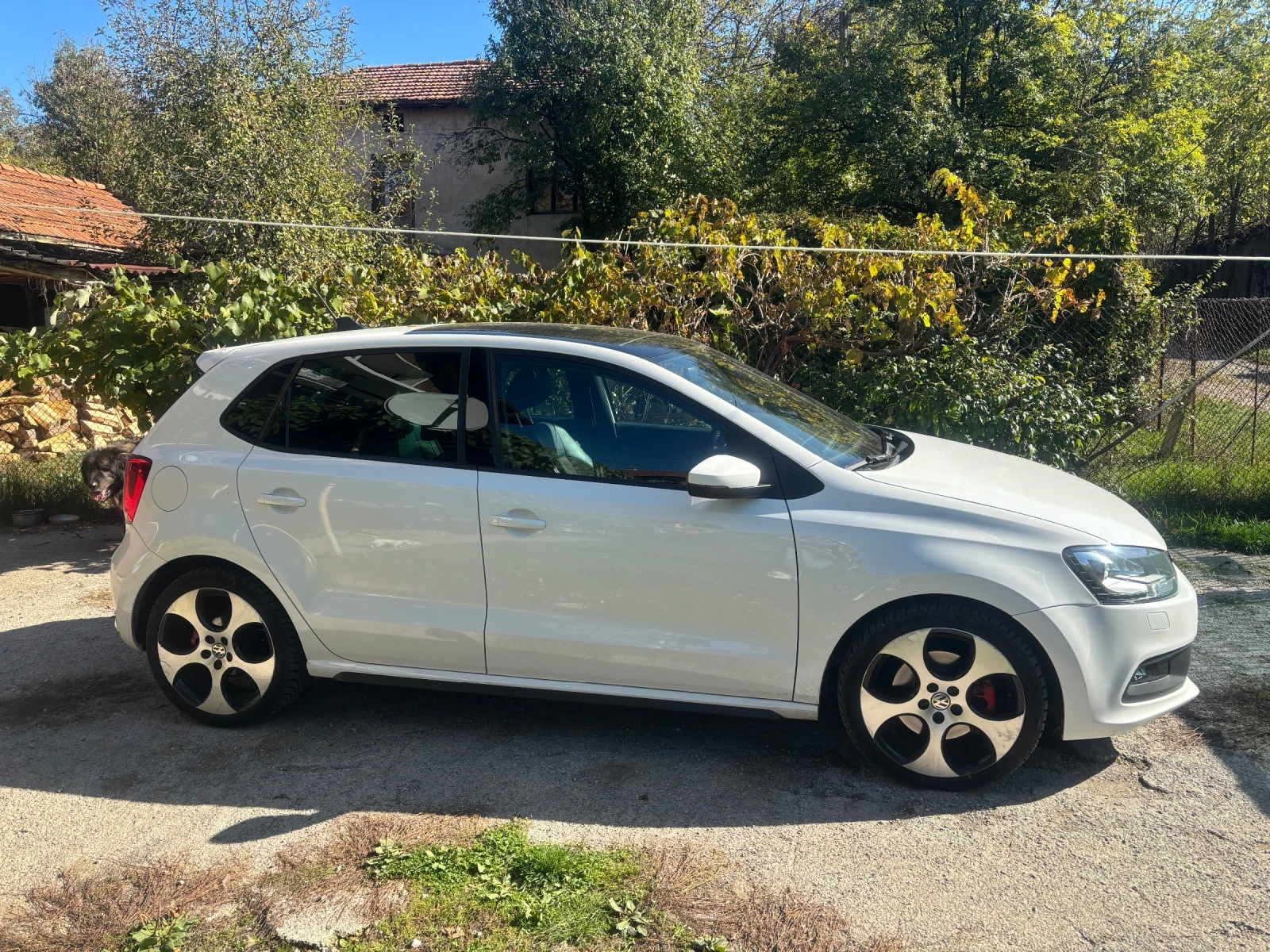 VW Polo GTI - изображение 4