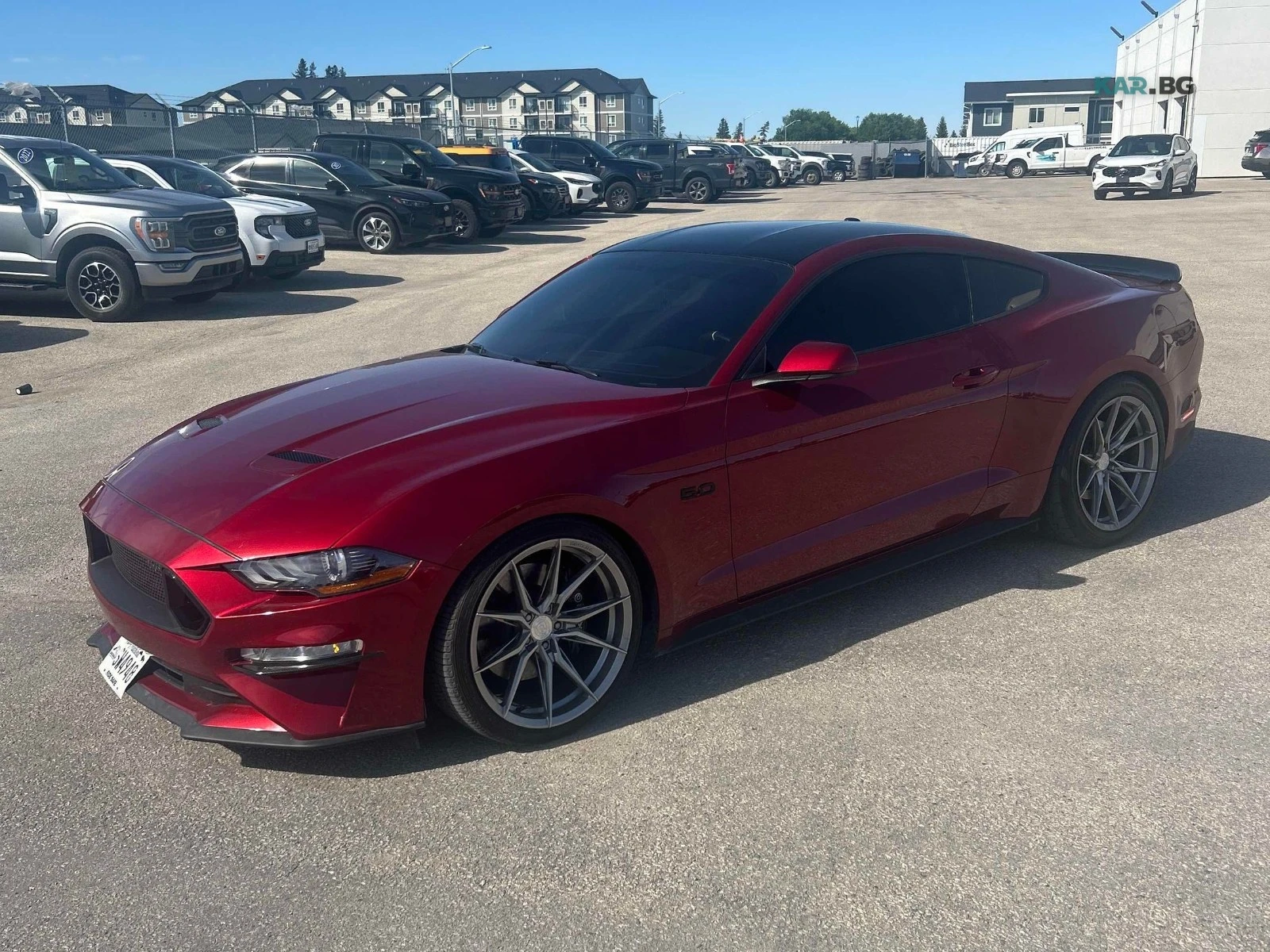 Ford Mustang GT ЦЕНА ДО БЪЛГАРИЯ + РЕГИСТРАЦИЯ & АВТОКРЕДИТ