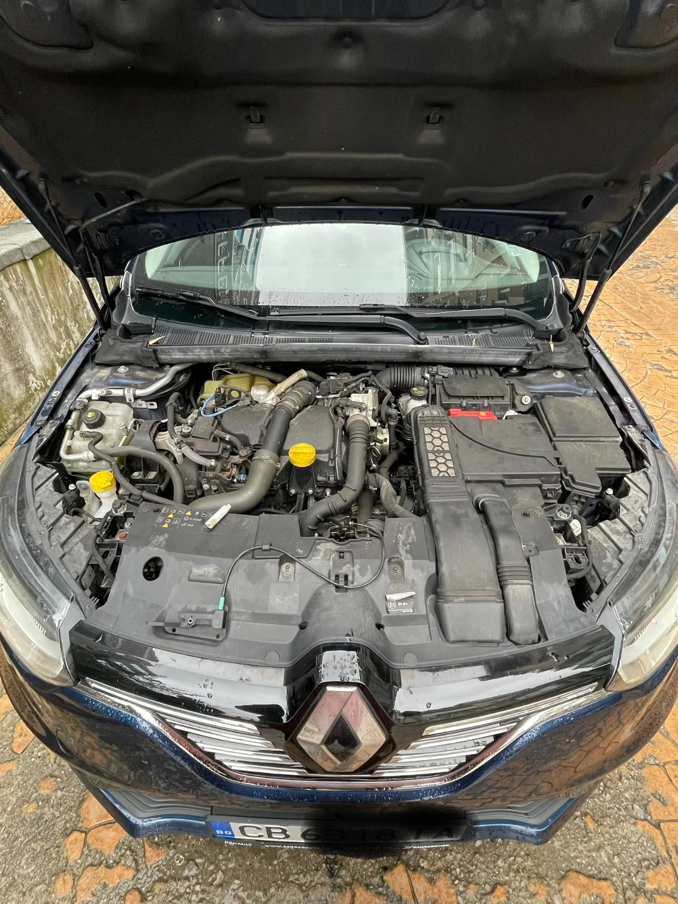Renault Megane Серия Bose , снимка 3 - Автомобили и джипове - 56746424