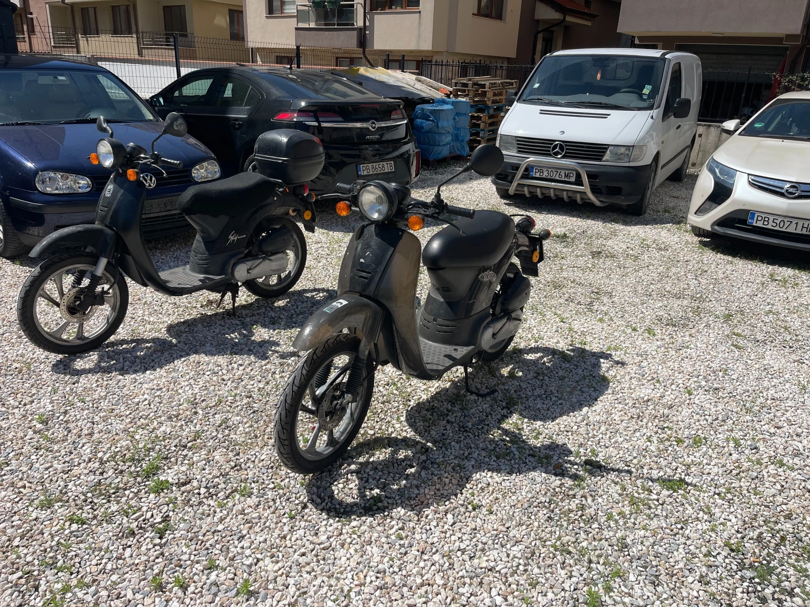 Honda Sky SGX 50, снимка 7 - Мотоциклети и мототехника - 55079775