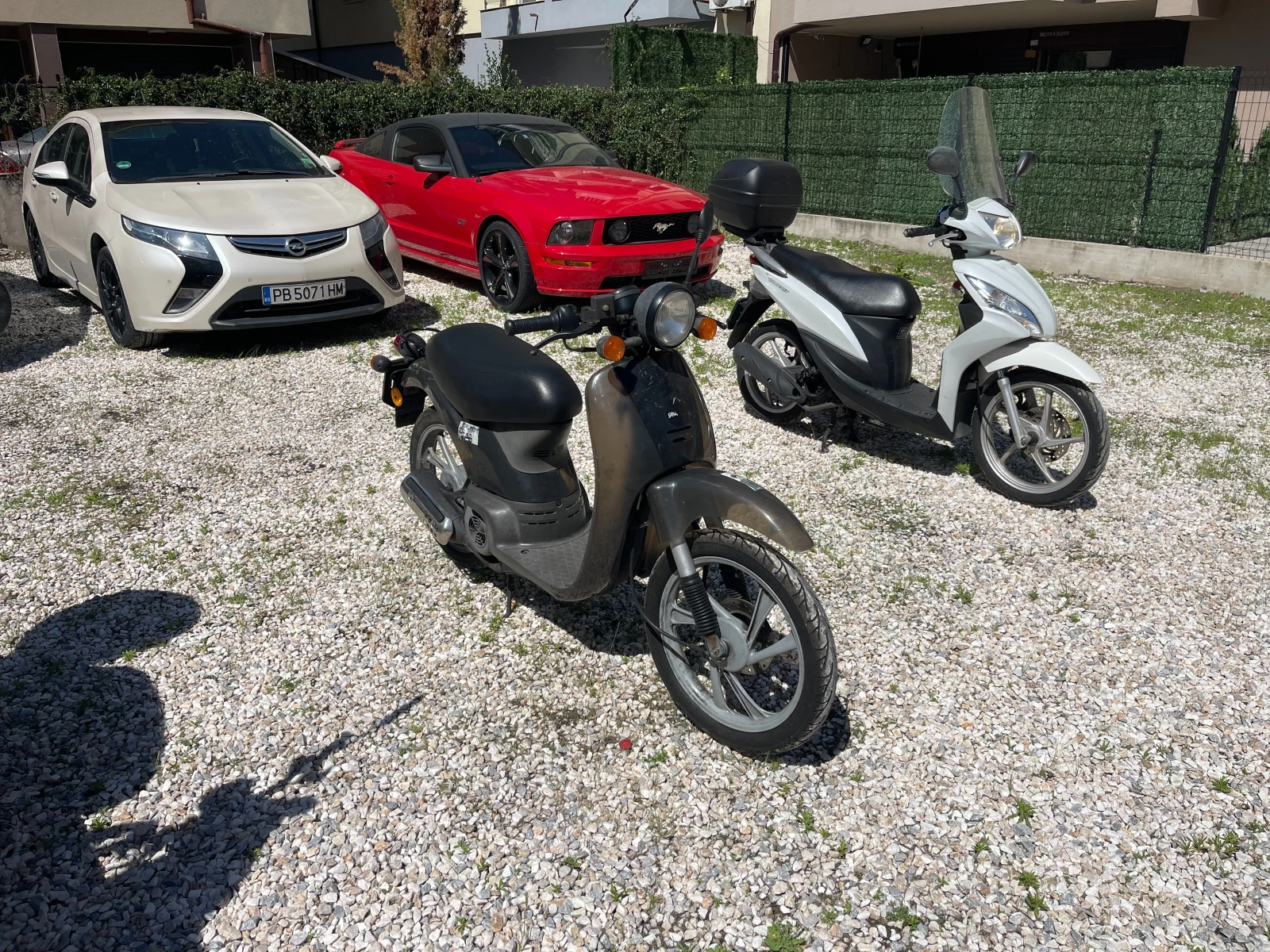 Honda Sky SGX 50, снимка 6 - Мотоциклети и мототехника - 55079775