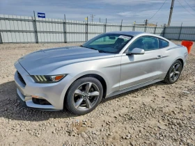 ������ Ford Mustang