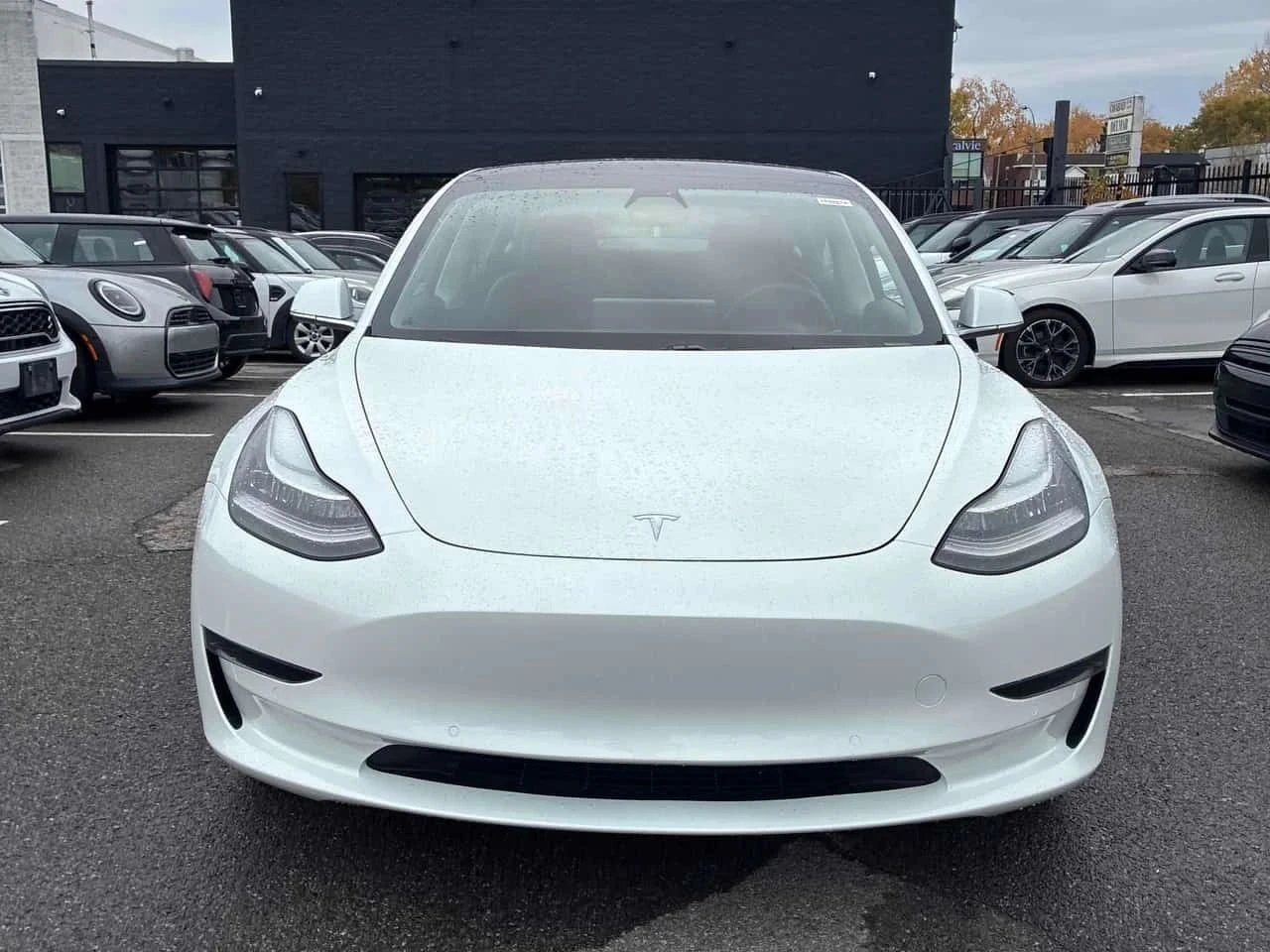 Tesla Model 3, снимка 6 - Автомобили и джипове - 56706371