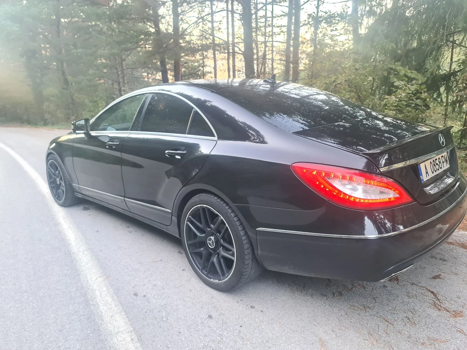 Mercedes-Benz CLS 350  - изображение 5