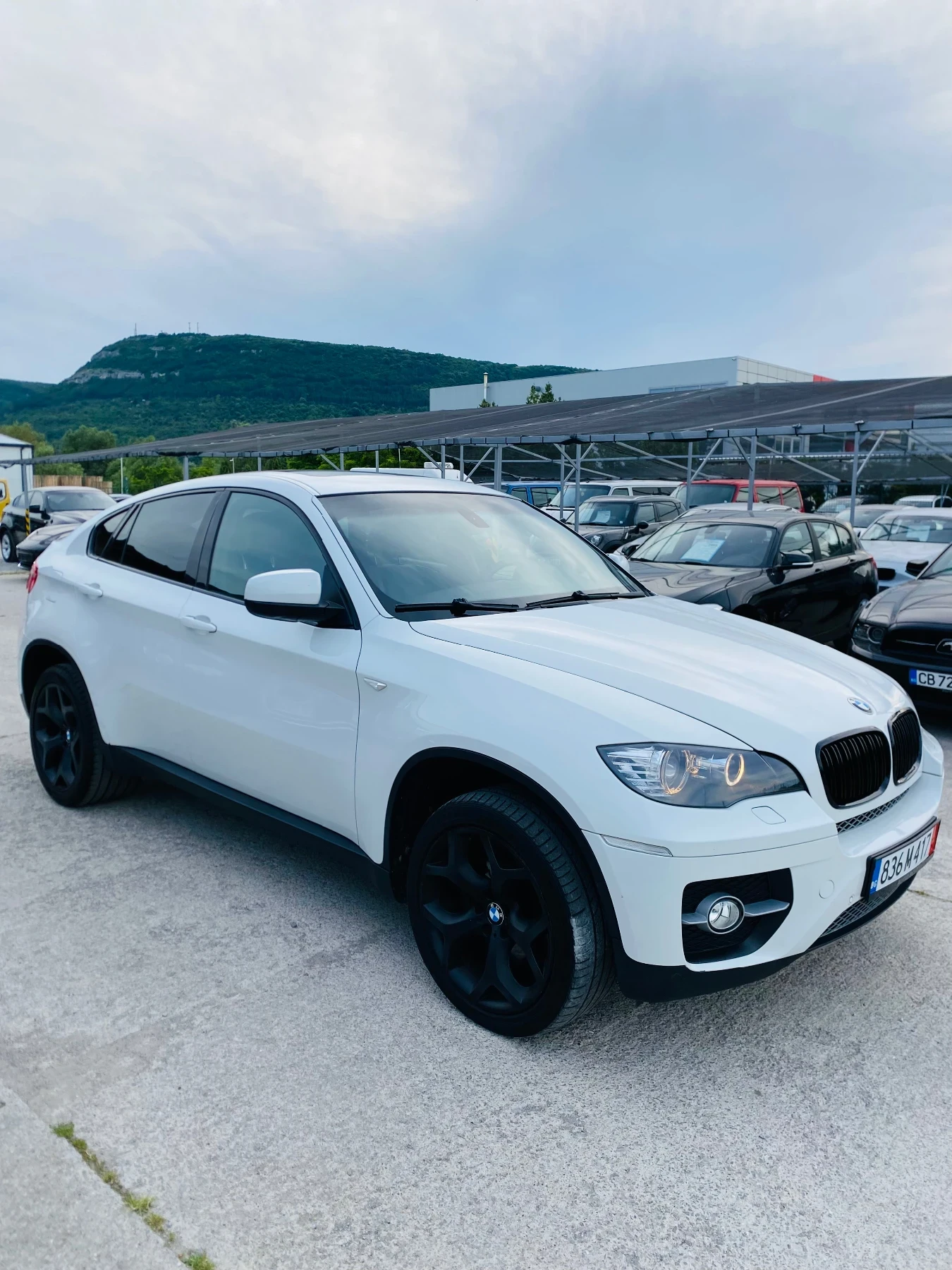 BMW X6 4.0D, снимка 3 - Автомобили и джипове - 54978403