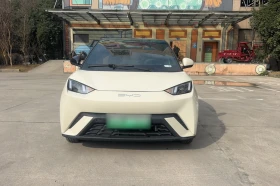 BYD Seagull Vitality Edition autogeorge.com, снимка 2