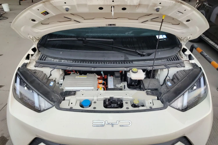 BYD Seagull Vitality Edition autogeorge.com - изображение 8