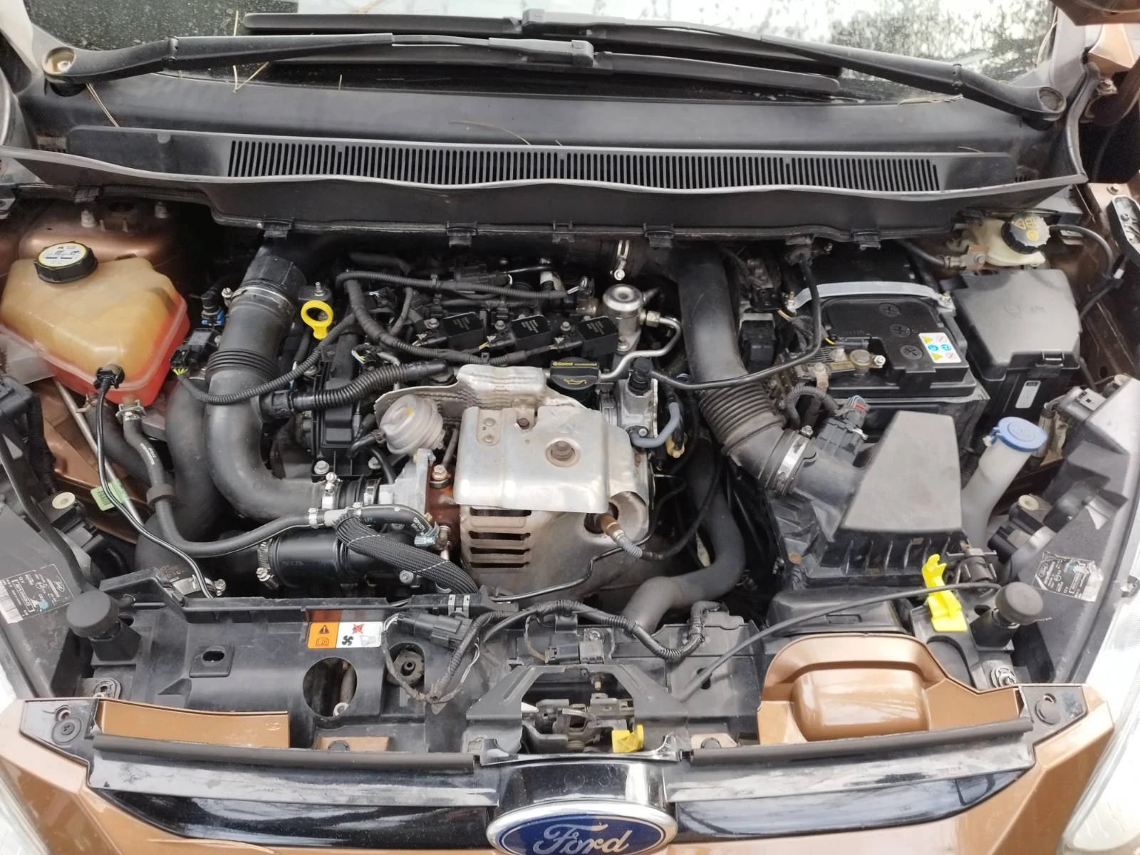 Ford B-Max  - изображение 3