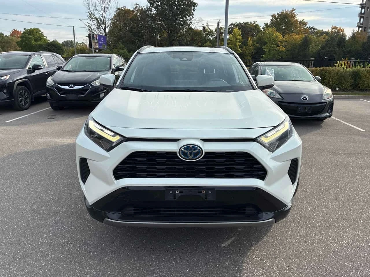 Toyota Rav4 * Hybrid SE * CARFAX * ��������� ����������������  | Mobile.bg � ����������� 2