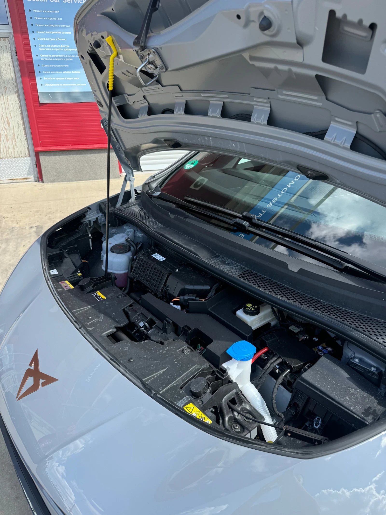Cupra Born 62kWh / 9999KM , снимка 10 - Автомобили и джипове - 55290022