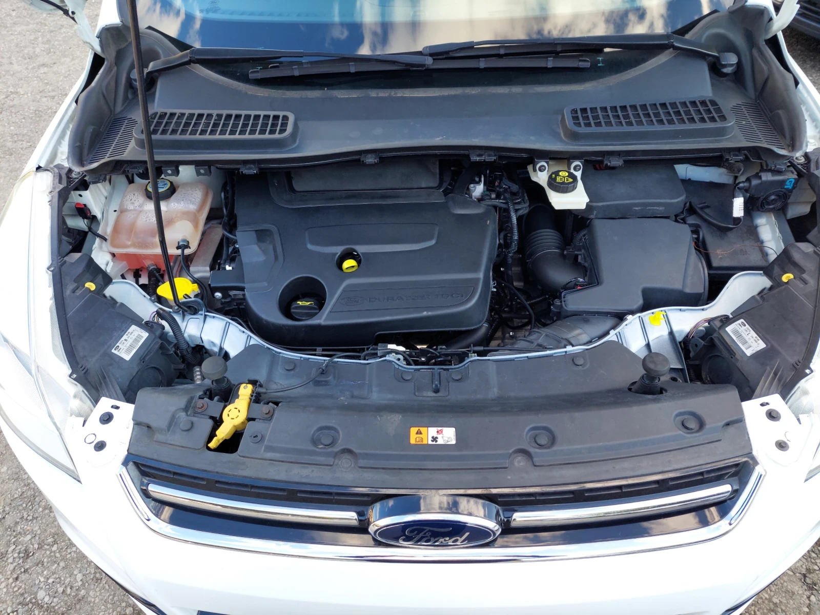 Ford Kuga 4x4 AUTOMAT | Mobile.bg   13