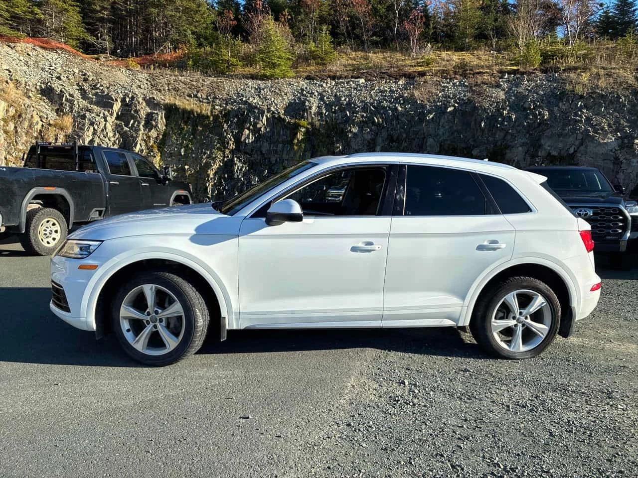 Audi Q5 Progressiv/CARFAX/�������/�����/�������� | Mobile.bg � ����������� 2