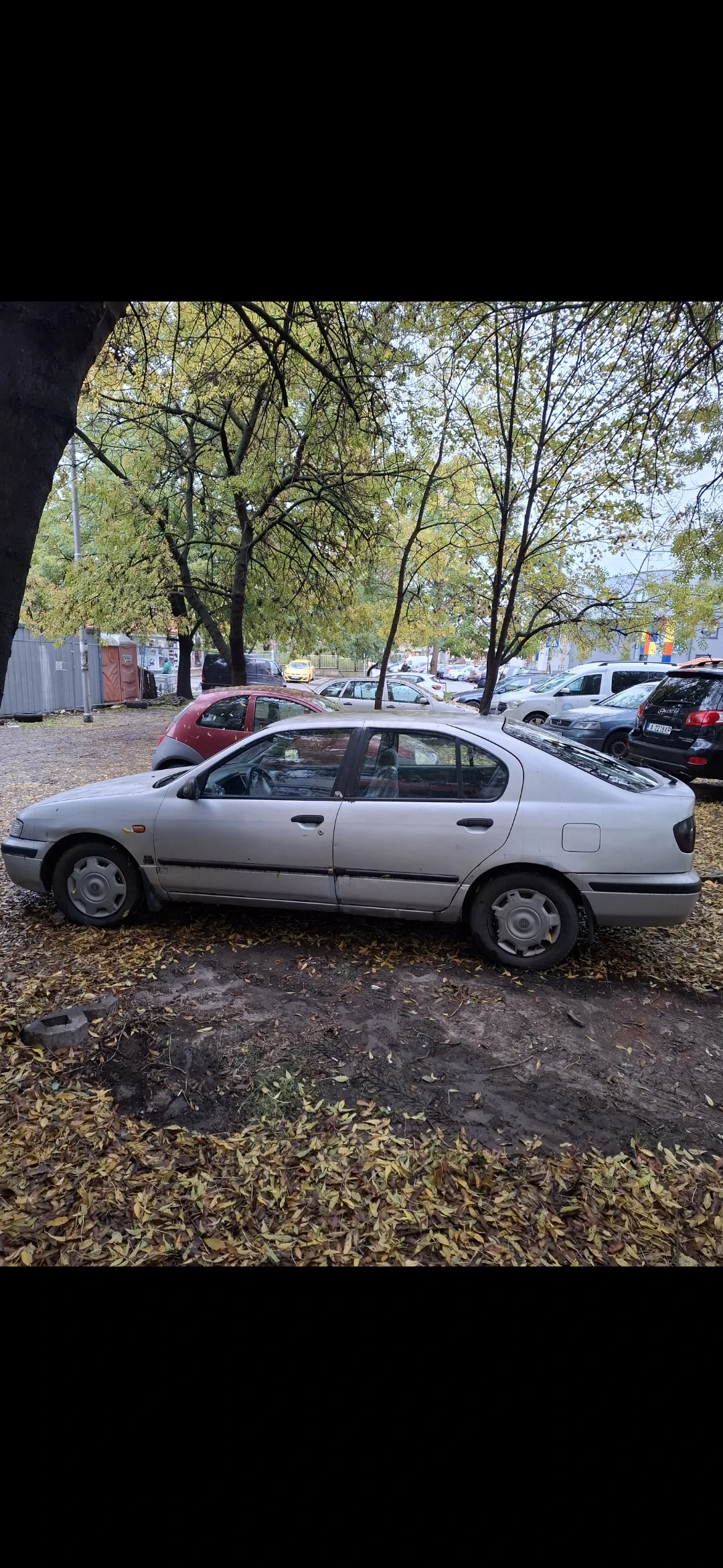 Nissan Primera  - изображение 6