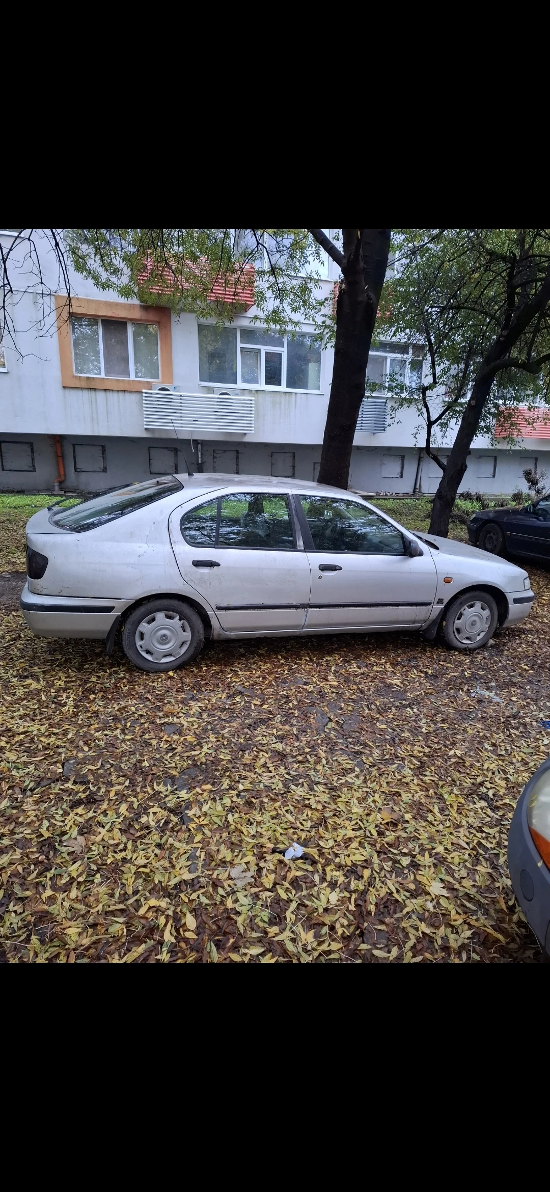 Nissan Primera  - изображение 4
