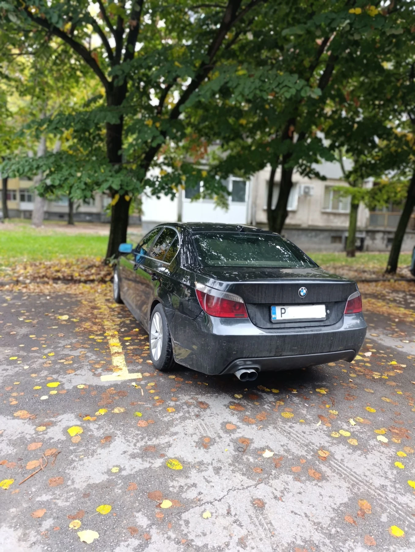 BMW 530 530D, снимка 5 - Автомобили и джипове - 56741540