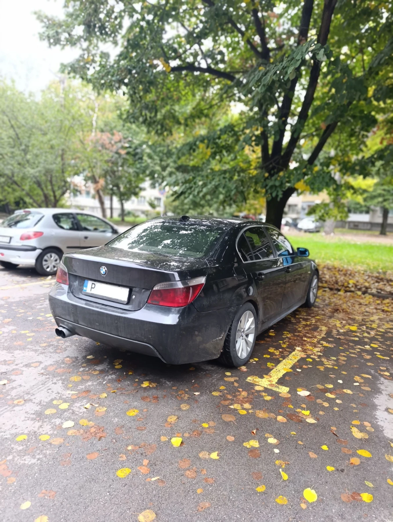 BMW 530 530D, снимка 4 - Автомобили и джипове - 56741540