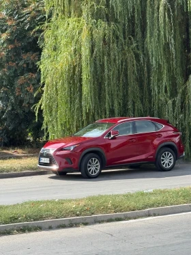 Lexus NX 300h - 25000 € - 27631269 4