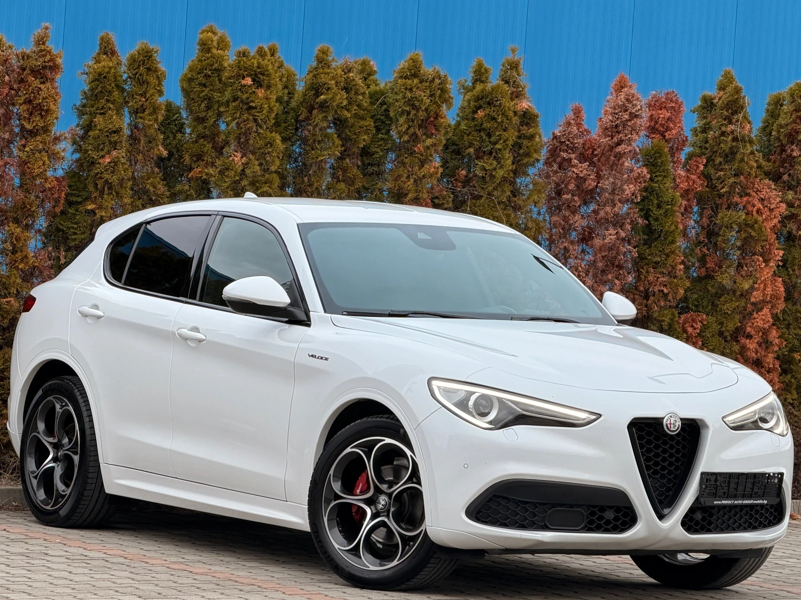 Alfa Romeo Stelvio VELOCE-Facelift-KEYLES-ПОДГРЕВ-КОЖА-УНИКАТ-170Х.КМ - изображение 6