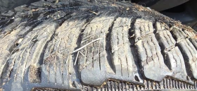 Гуми с джанти Michelin 225/65R17, снимка 8