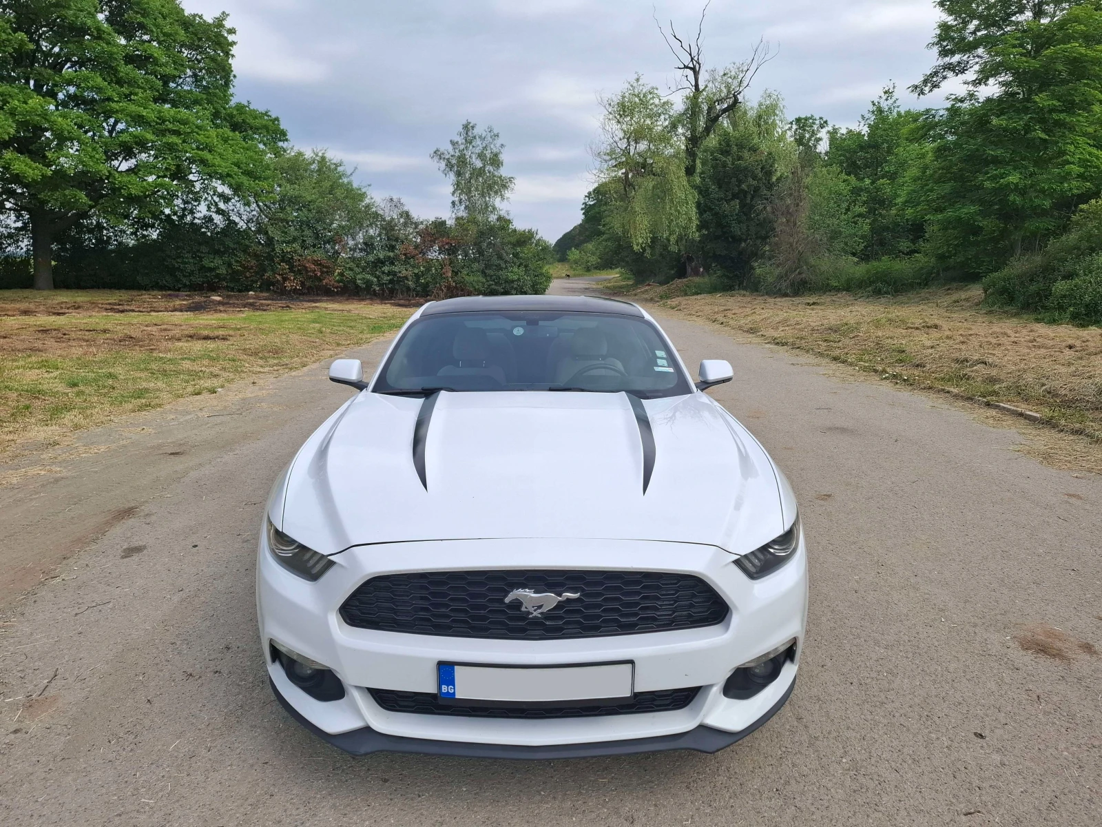 Ford Mustang 2.3 ECOBOOST - изображение 8