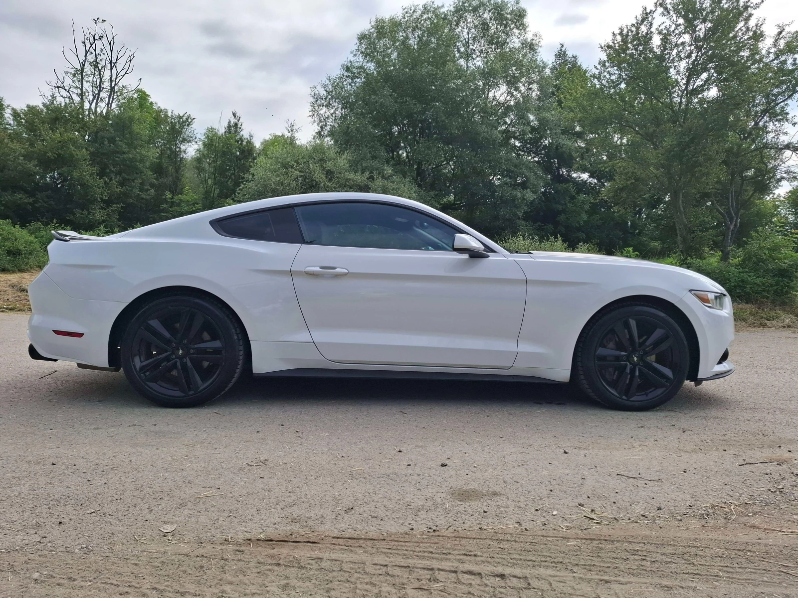 Ford Mustang 2.3 ECOBOOST - изображение 6