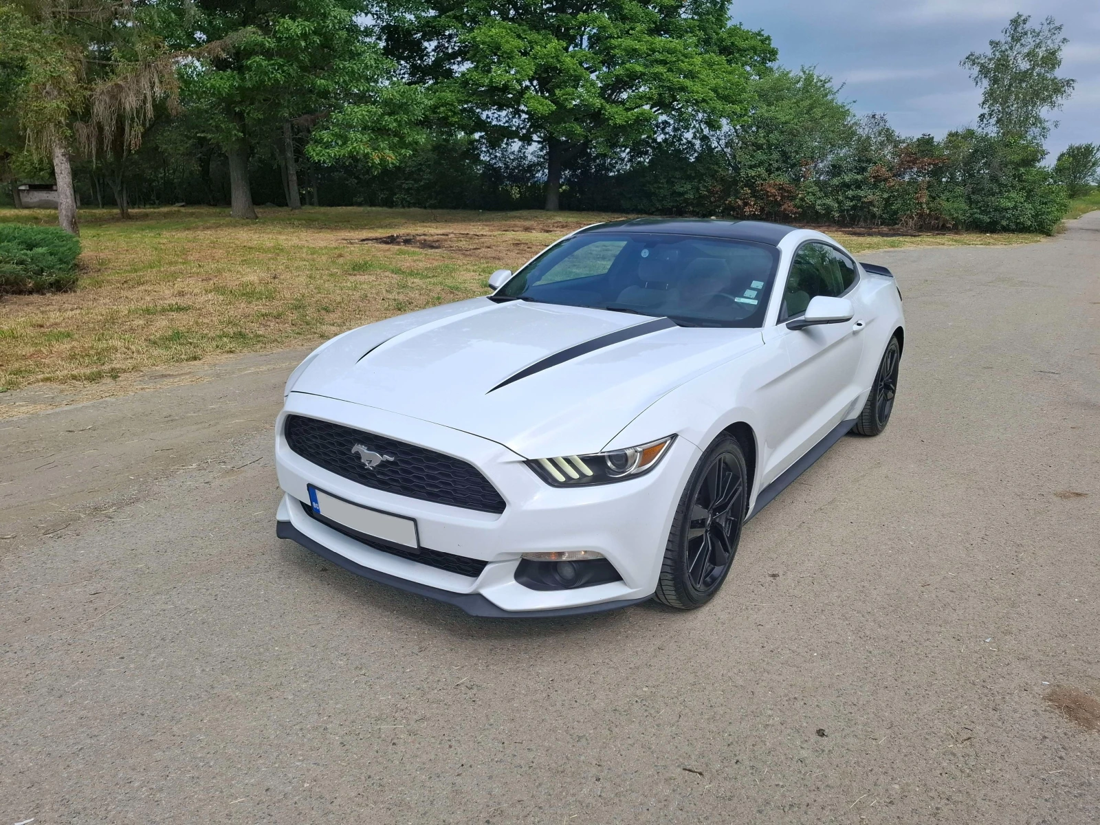Ford Mustang 2.3 ECOBOOST | Mobile.bg   1