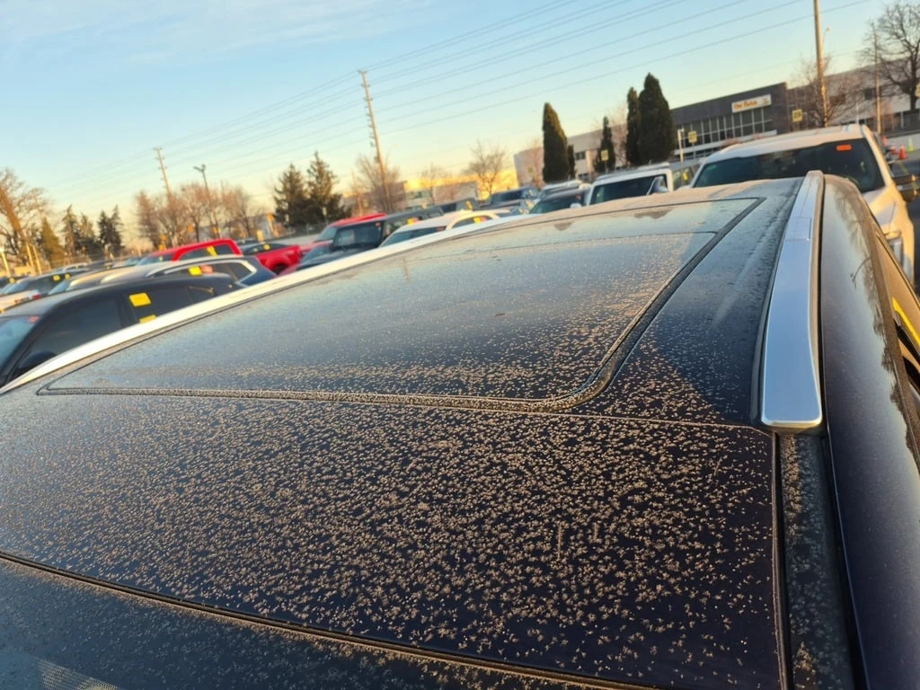 Toyota Grand Highlander * LIMITED * CARFAX *  | Mobile.bg � ����������� 17