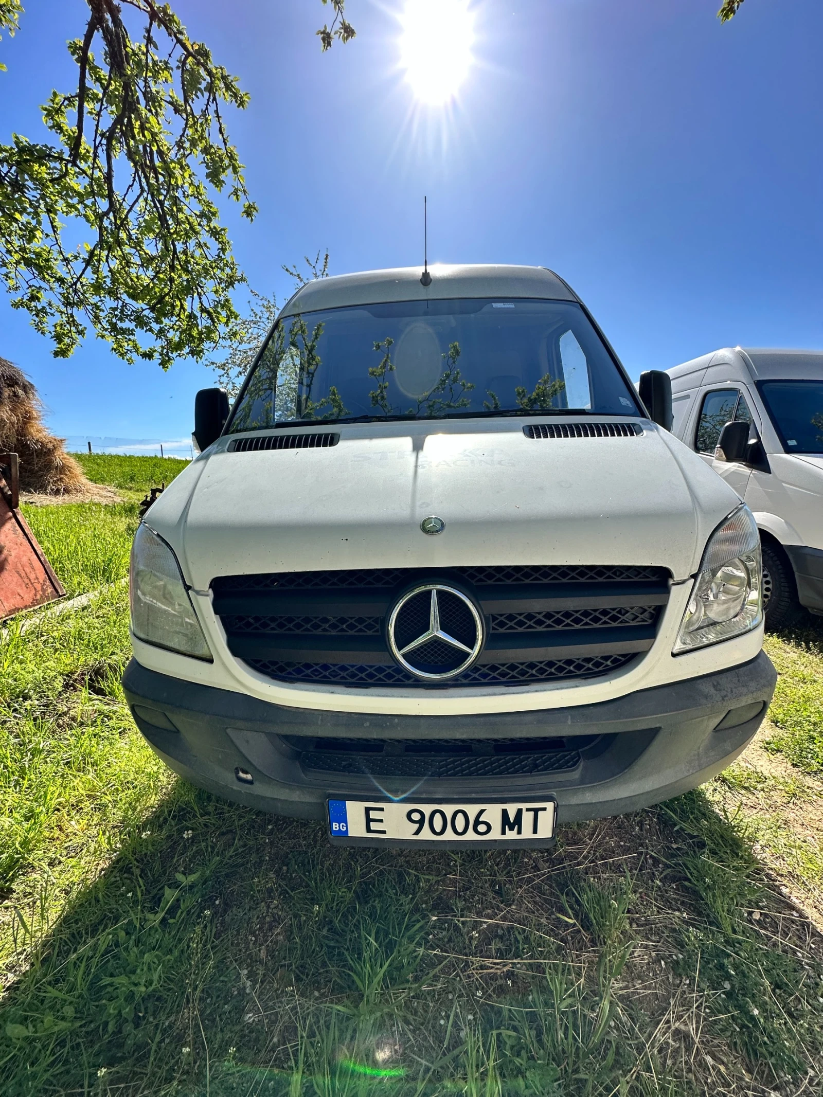Mercedes-Benz 313 | Mobile.bg   2