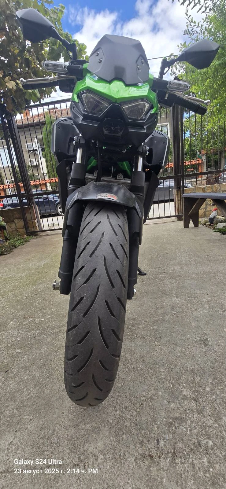 Kawasaki Z  - изображение 4