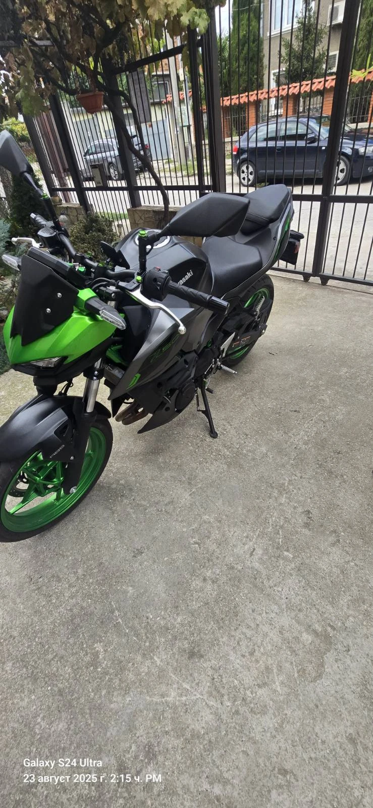 Kawasaki Z  - изображение 2
